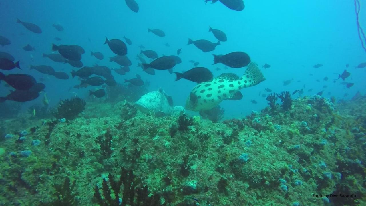 Dolphin Dhow Beach Safaris Виланкулос Екстериор снимка